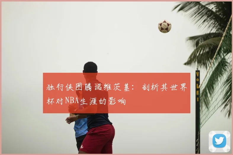 独行侠图腾诺维茨基：剖析其世界杯对NBA生涯的影响